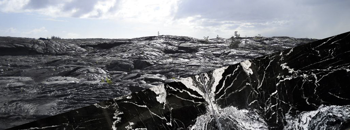 Linoor is trusted by millions of customers